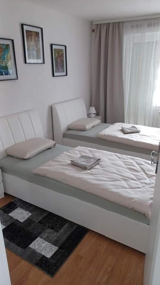Apartment Simic *